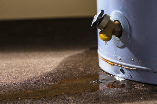 Best Fire Damage Restoration  in Mapleton, ND