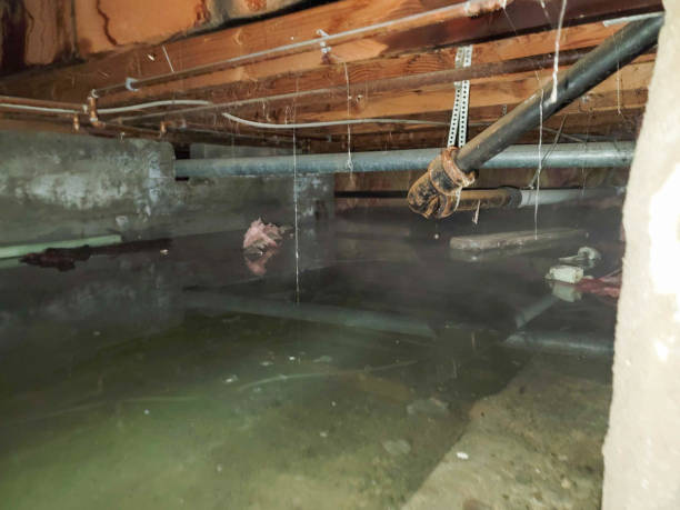 24/7 water damage repair in ND