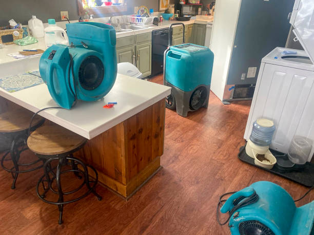 Best Basement water damage restoration  in Mapleton, ND