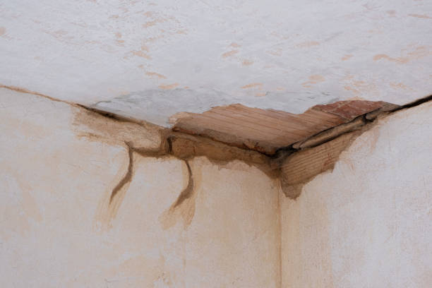 Best Water damage cleanup near me  in Mapleton, ND