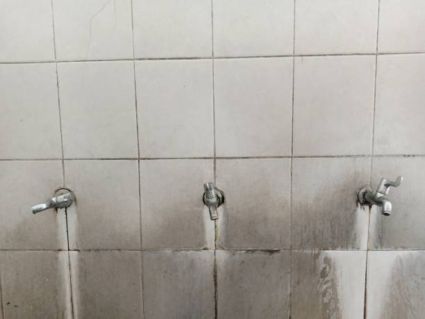 Best Ceiling water damage repair  in Mapleton, ND