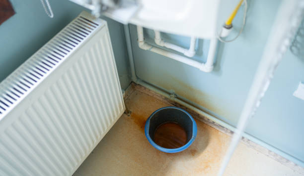 Best Water damage restoration insurance claims  in Mapleton, ND