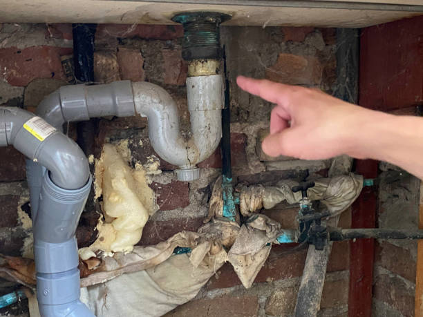 Best 24-hour water damage restoration  in Mapleton, ND