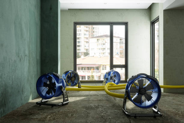 Best Local water damage restoration  in Mapleton, ND