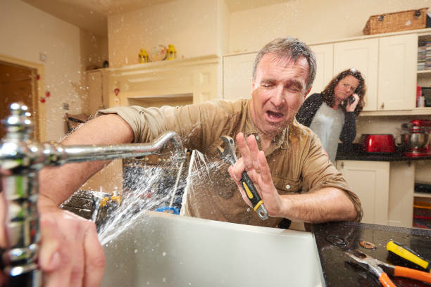 Best Water damage restoration near me  in Mapleton, ND